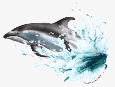 Dolphin Png Images - Dolphin Png, Transparent Png, Free Download
