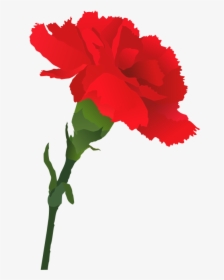 Carnation Cliparts - Carnation Clipart Png, Transparent Png, Free Download