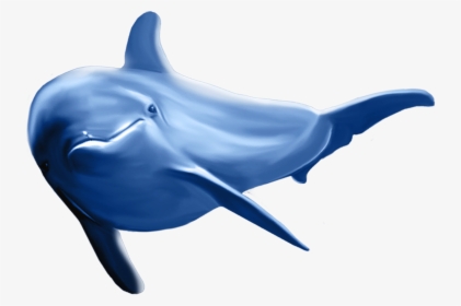 Dolphin Png Clip Art Image - Dolphin Png, Transparent Png, Free Download