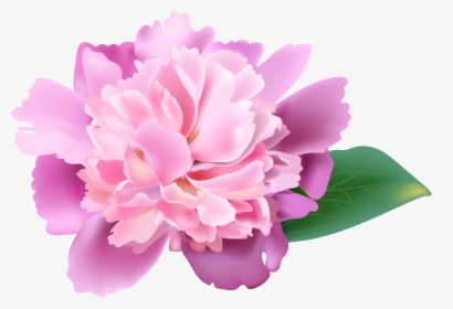 Peonies Clipart Realistic - Clip Art Pink Peonies, HD Png Download, Free Download