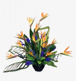 Bird Of Paradise Plant Png, Transparent Png, Free Download