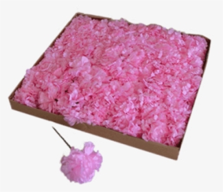 Get A Box Of Pink Carnations To Insert Into Your Media - Hydrangea, HD Png Download, Free Download