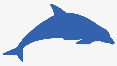 Transparent Dolphin Png - Portable Network Graphics, Png Download, Free Download