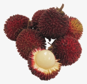 Pulasan Fruit, HD Png Download, Free Download