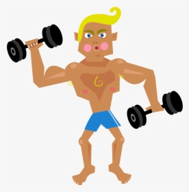 Man Lifting Weights Clip Art - Musclé Clipart, HD Png Download, Free Download