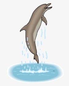 Gif Dolphin Png Clipart , Png Download - Dolphins And Their Food, Transparent Png, Free Download