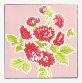 Pink Carnation - Chrysanths, HD Png Download, Free Download