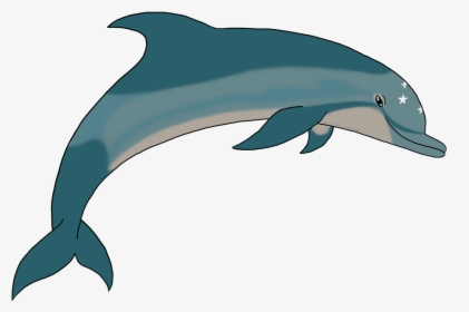 Ecco The Dolphin Png - Common Bottlenose Dolphin, Transparent Png, Free Download