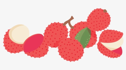 Lychee Vector, HD Png Download, Free Download