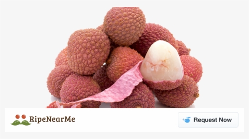 Hak Ip Lychee - Lychee, HD Png Download, Free Download