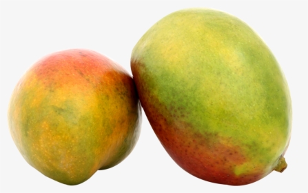 Transparent Mango Tree Png - Portable Network Graphics, Png Download, Free Download