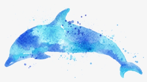 Drawn Dolphin Watercolour - Watercolor Dolphin Png, Transparent Png, Free Download