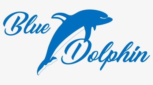 Dolphins Logo Png - Common Bottlenose Dolphin, Transparent Png, Free Download