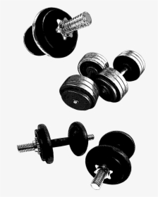 Transparent Dumbbell Clipart Png - Exercise Equipment, Png Download, Free Download