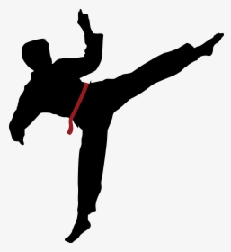 Kung Fu Vector Png, Transparent Png, Free Download