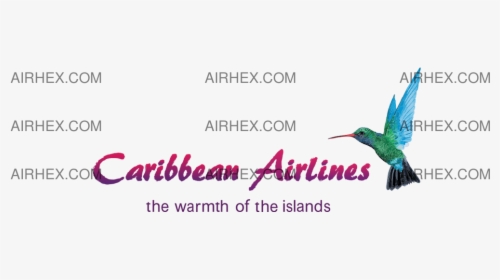 Caribbean Airlines - Piciformes, HD Png Download, Free Download