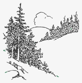 Black And White Clipart Of Pine Tree Forest, HD Png Download, Free Download