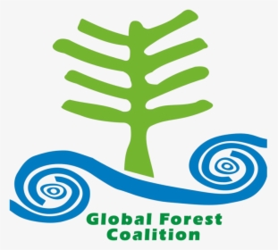 Global Forest Coalition, HD Png Download, Free Download