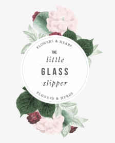 The Little Glass Slipper - Garden Roses, HD Png Download, Free Download