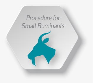 Ruminant Icon - Emblem, HD Png Download, Free Download