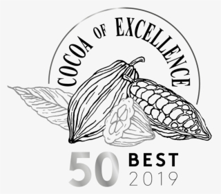 50best Cocoa Of Excellence Def 72dpi - Line Art, HD Png Download, Free Download