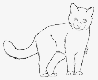 Drawn Black Cat Tumblr Transparent - Cat Line Drawing Transparent, HD Png Download, Free Download