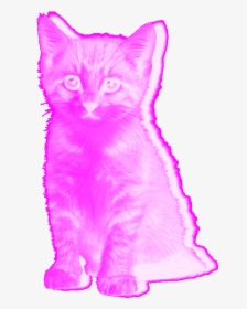 Trippy Cat Png - Pastel Goth Png Gif, Transparent Png, Free Download