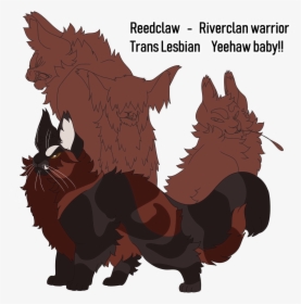 Image - Maine Coon Warrior Cats, HD Png Download, Free Download