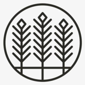 Icons 2000px Withpadding Vodka - Circle, HD Png Download, Free Download