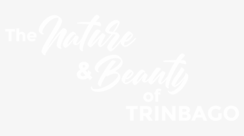 Calligraphy, HD Png Download, Free Download