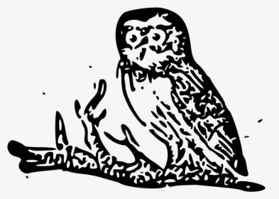File Cherokeeprimer Owl Png Black And White Owl Svg - Illustration, Transparent Png, Free Download