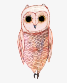 White Owl Png , Png Download, Transparent Png, Free Download