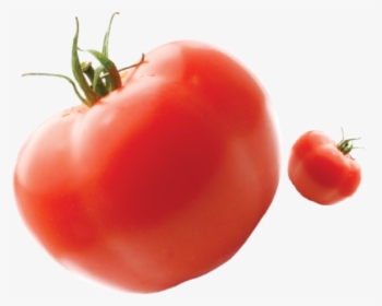 Felfel - Plum Tomato, HD Png Download, Free Download