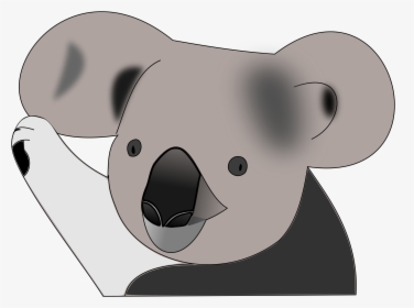 Koala Face Png - Koala And Cat Cartoon, Transparent Png, Free Download