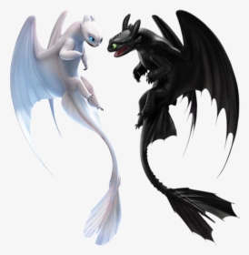 Night Fury Png - Toothless And Light Fury, Transparent Png, Free Download