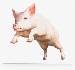 Pig, Why You Don Need Credit Score - Pig With Lipstick Is Still A Pig, HD Png Download, Free Download