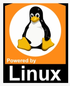 Linux Penguin, HD Png Download, Free Download
