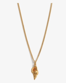 Conch Shell Necklace 18k Gold Vermeil - Little Mermaid Jewelry, HD Png Download, Free Download