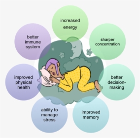 Sleep Important, HD Png Download, Free Download