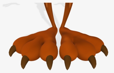 Coyote Feet Close Up 3d - Illustration, HD Png Download, Free Download