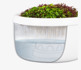 Hh Basin, HD Png Download, Free Download