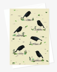 Card And Envelope Rare Birds Black Robin - Illustration, HD Png Download, Free Download
