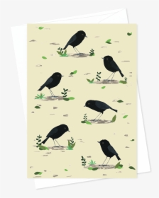 Card And Envelope Rare Birds Black Robin - Illustration, HD Png Download, Free Download