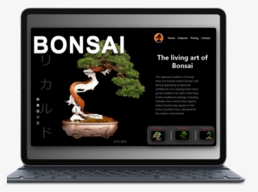 Smartmockups K0iaj3zd - Bonsai Yang Unik, HD Png Download, Free Download