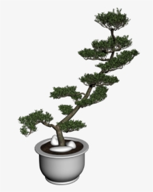 Bonsai, HD Png Download, Free Download
