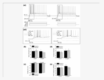 Diagram, HD Png Download, Free Download