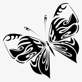 Black Butterfly Drawing Png - Brush-footed Butterfly, Transparent Png, Free Download