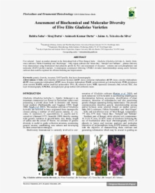 Orchid, HD Png Download, Free Download