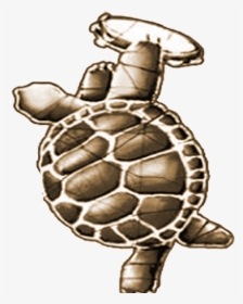 Turtle 1 - Terrapin Station Sticker, HD Png Download, Free Download