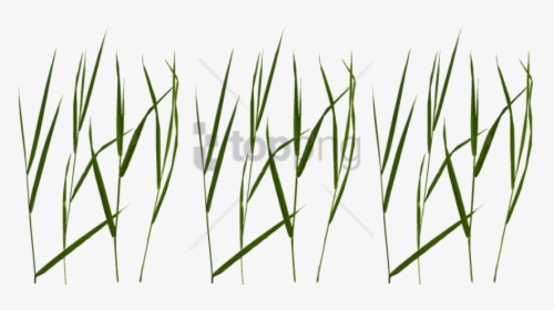 Free Png Download Grass Blade Texture Png Images Background - Grass Texture Unity Png, Transparent Png, Free Download